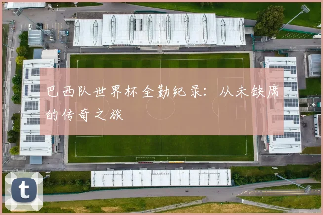 巴西队世界杯全勤纪录：从未缺席的传奇之旅